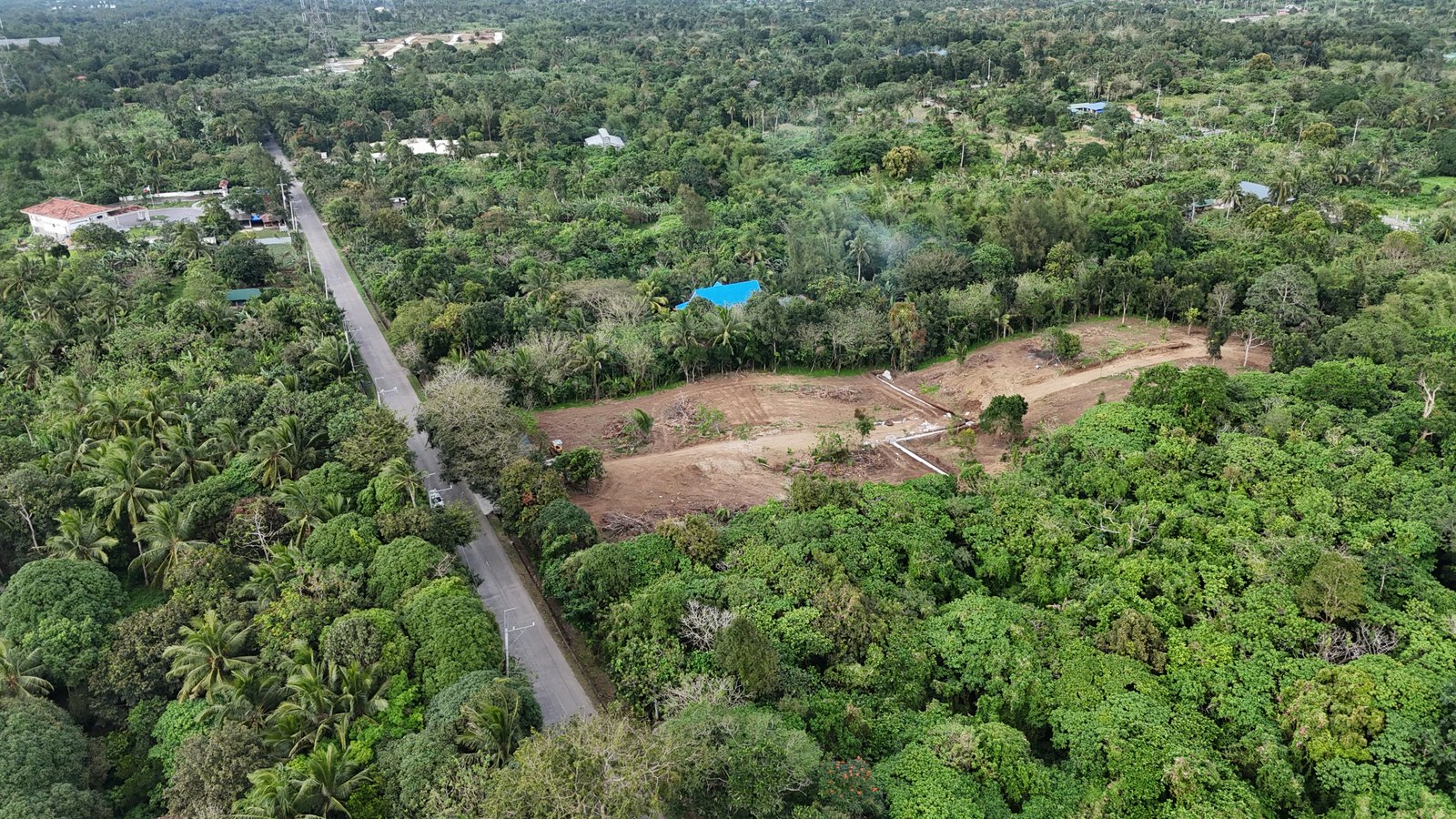 Farm Lot - Poblacion 5 Amadeo